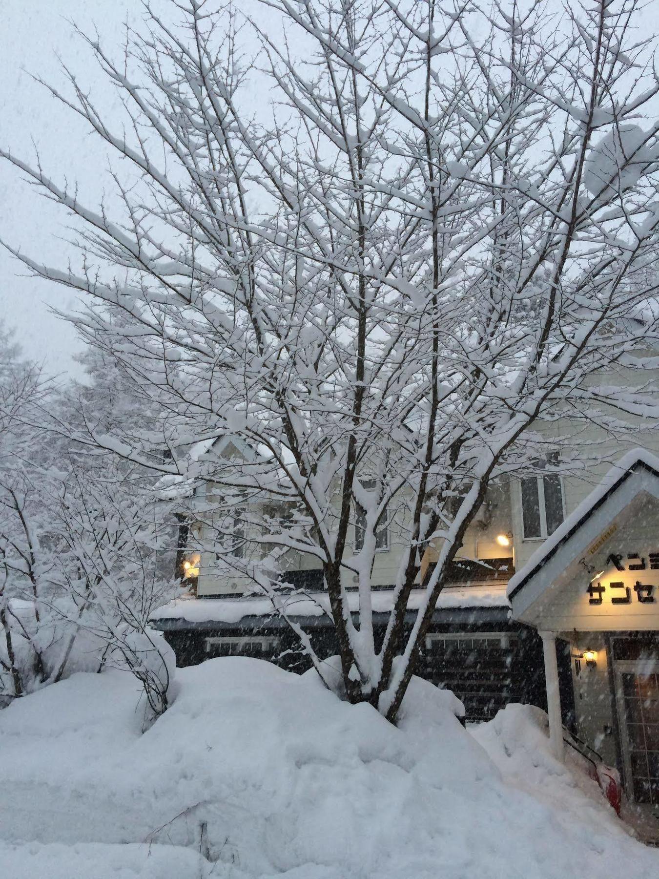 B&B Sunset Inn Hakuba Esterno foto